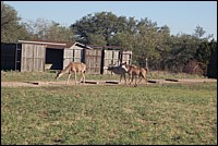 DSC_0047.JPG