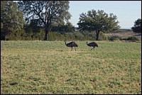 DSC_0048.JPG