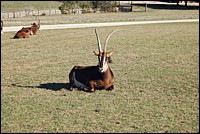 DSC_0054.JPG