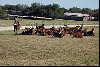 DSC_0055.JPG