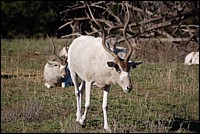 DSC_0059.JPG