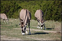 DSC_0065.JPG