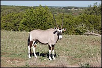DSC_0071.JPG