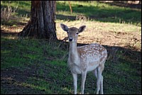 DSC_0072.JPG