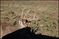 DSC_0075.JPG