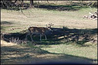 DSC_0077.JPG