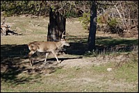 DSC_0078.JPG