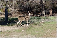 DSC_0079.JPG