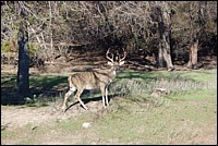 DSC_0080.JPG