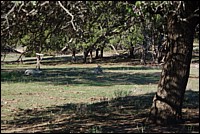 DSC_0082.JPG