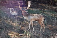 DSC_0085.JPG