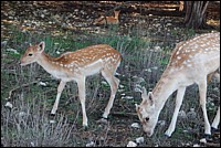 DSC_0089.JPG