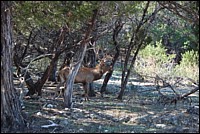DSC_0106.JPG
