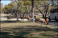 DSC_0107.JPG