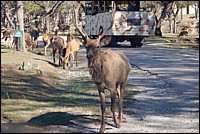 DSC_0109.JPG