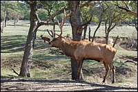 DSC_0112.JPG