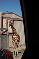 DSC_0115.JPG