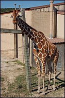 DSC_0116.JPG