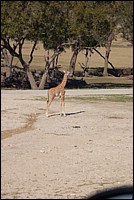 DSC_0117.JPG