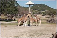 DSC_0119.JPG