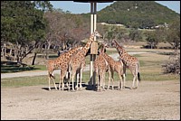 DSC_0120.JPG