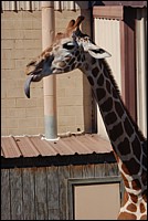 DSC_0124.JPG