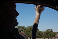 DSC_0140.JPG