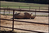 DSC_0142.JPG