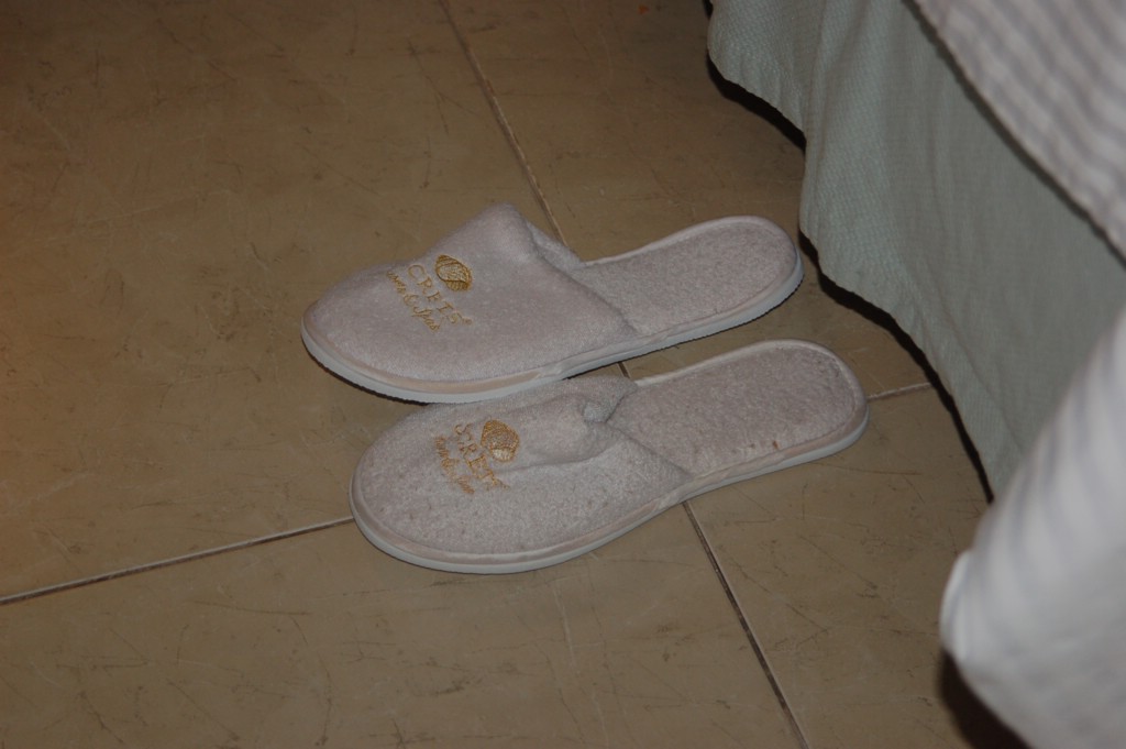 DSC_0007.JPG