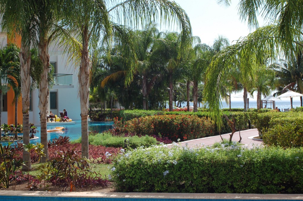 DSC_0016.JPG