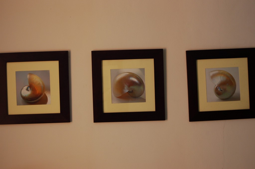 DSC_0021.JPG