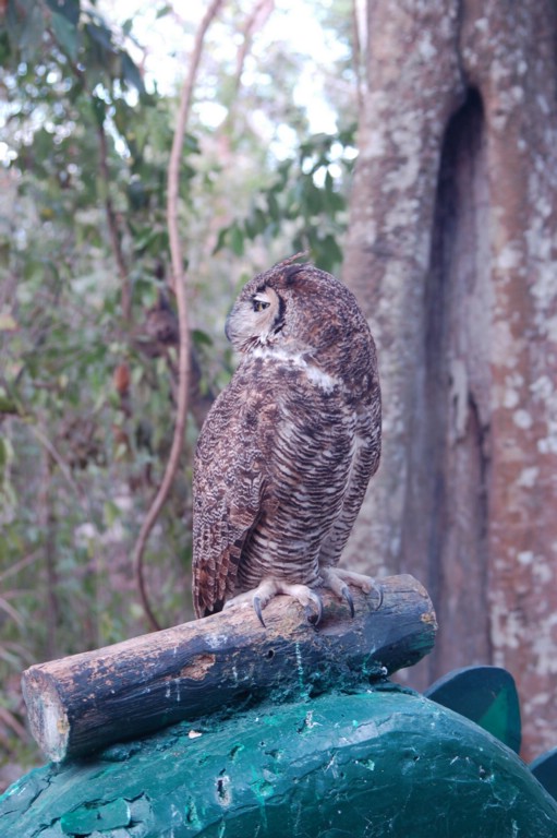 DSC_0033.JPG