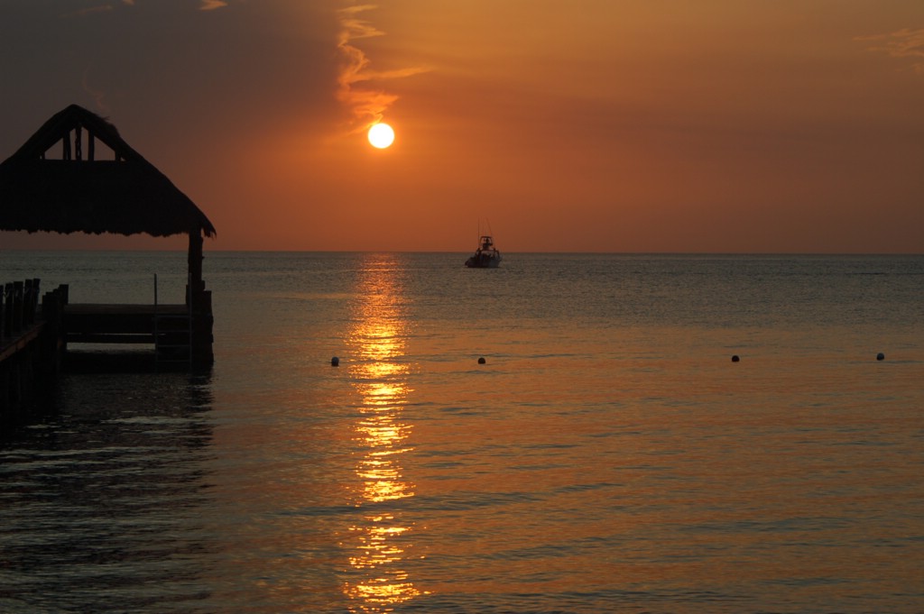 DSC_0080.JPG