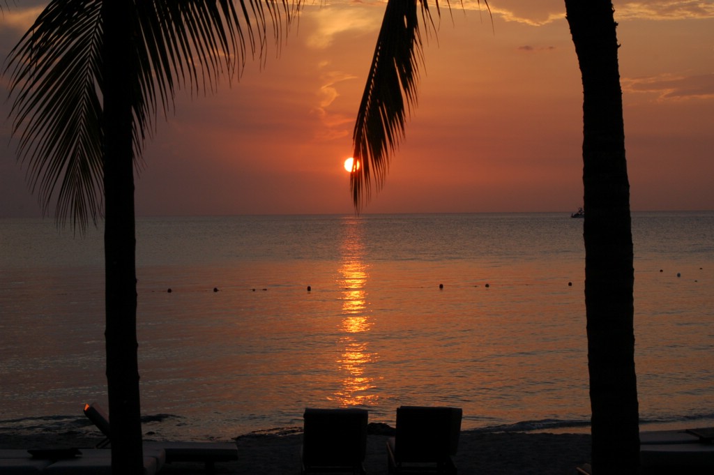 DSC_0081.JPG