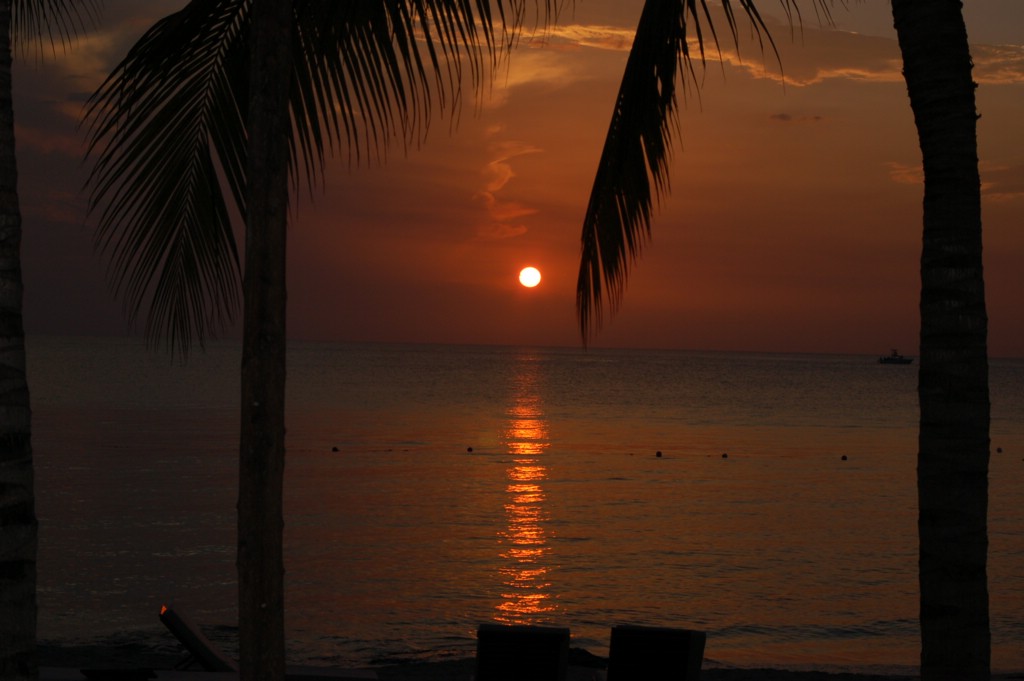 DSC_0082.JPG