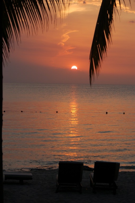 DSC_0084.JPG