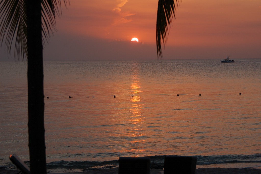 DSC_0085.JPG