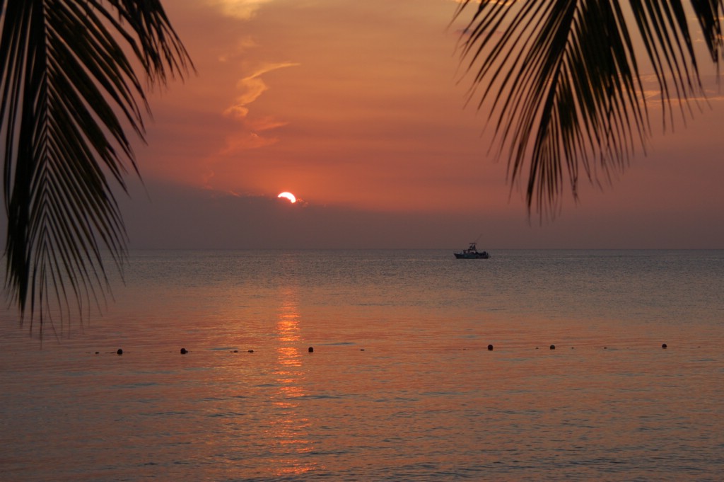 DSC_0086.JPG
