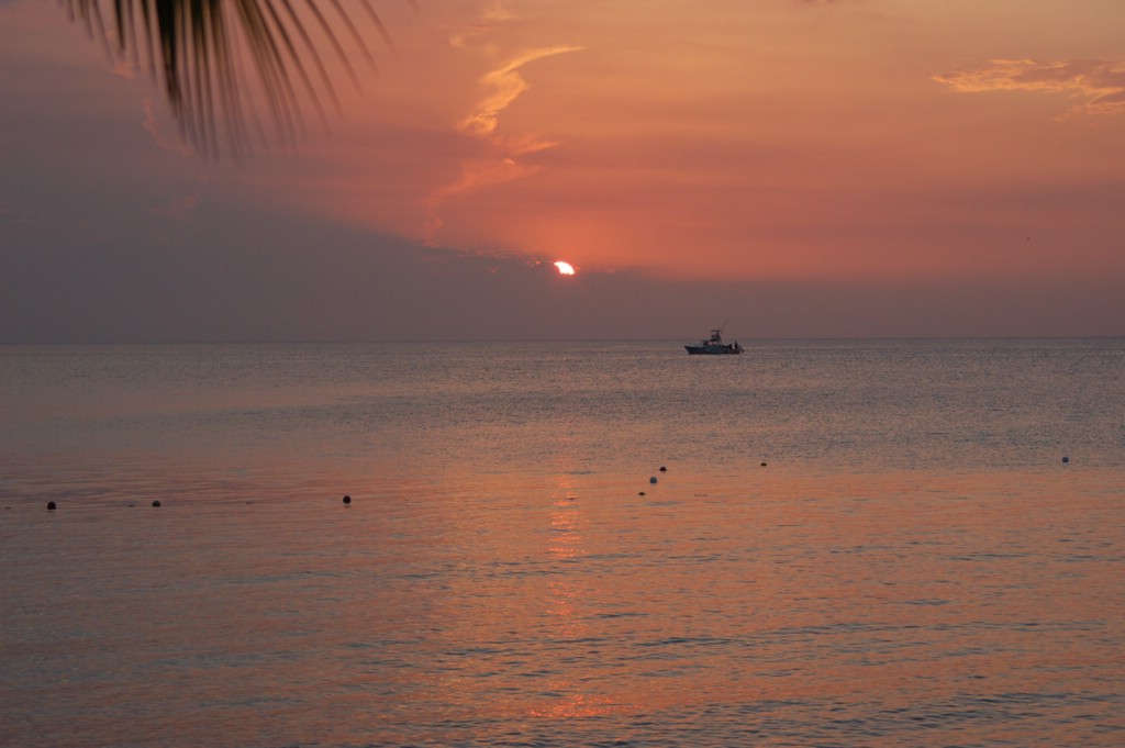DSC_0087.JPG