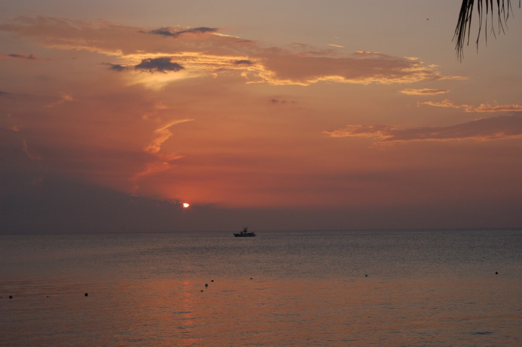 DSC_0088.JPG