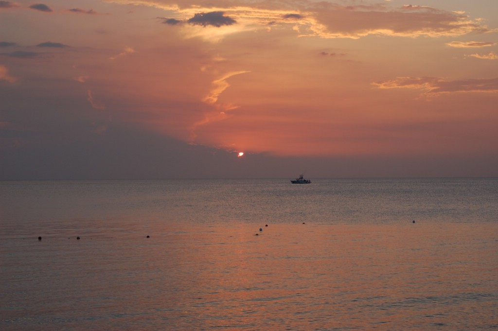 DSC_0089.JPG