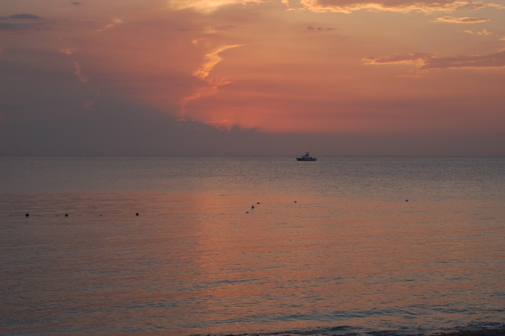 DSC_0090.JPG