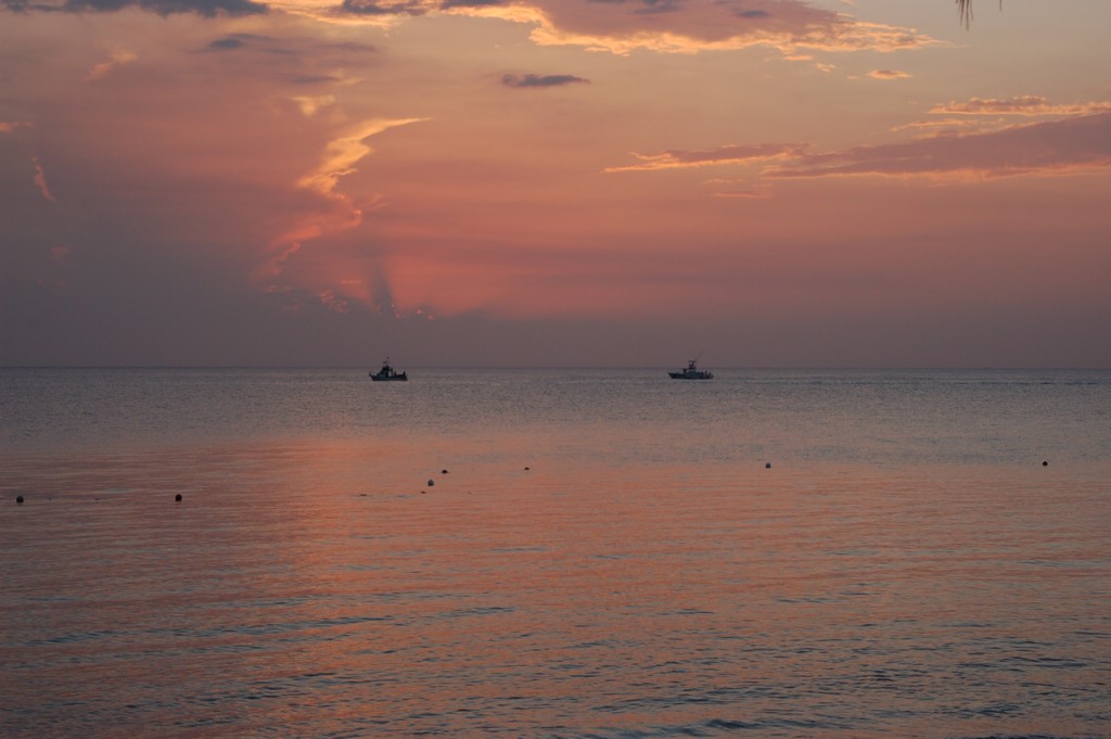 DSC_0091.JPG