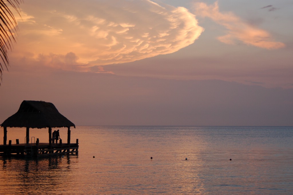 DSC_0092.JPG