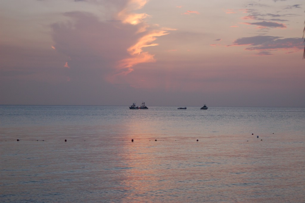 DSC_0093.JPG