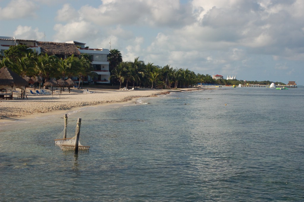 DSC_0100.JPG