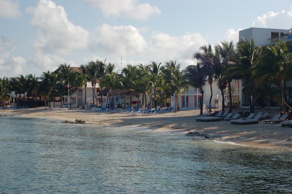 DSC_0102.JPG