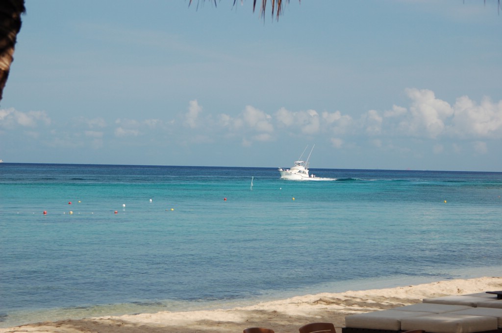 DSC_0104.JPG