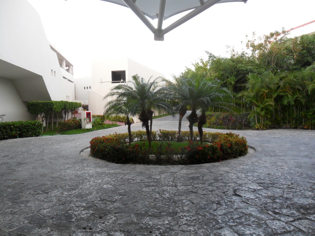 SAM_0659.JPG
