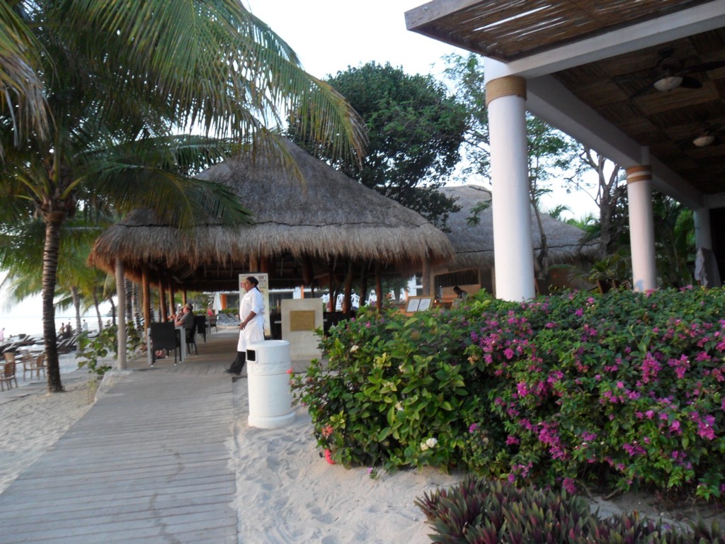 SAM_0669.JPG